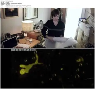 The Creeping Garden (2014)