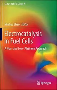 Electrocatalysis in Fuel Cells: A Non- and Low- Platinum Approach