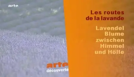 (Arte) Les routes de la lavande (2011)