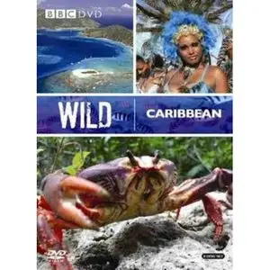 Wild Caribbean. Secret Shores