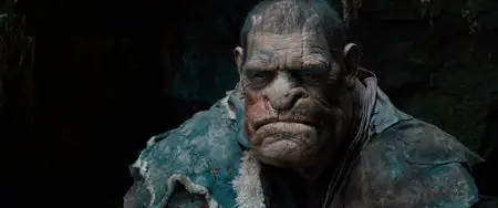Hansel and Gretel Witch Hunters (2013)