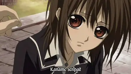 Vampire Knight ヴァンパイア騎士
