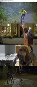 Super Buddies (2013)