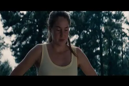 The Spectacular Now (2013)