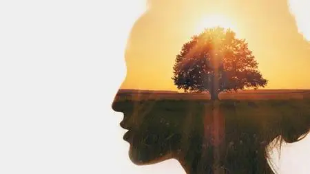 Unshakeable Confidence - The Ultimate Success Guide!