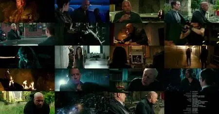 The Last Witch Hunter (2015)