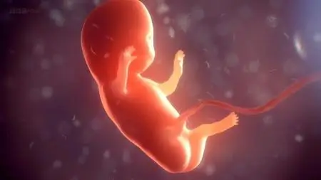 BBC - Eugenics: Science's Greatest Scandal (2019)