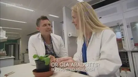 BBC - Insect Dissection: How Insects Work (2013)