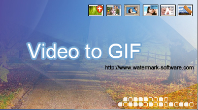 WaterMark Software Video to GIF 4.4