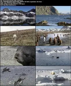Frozen Planet S01E03