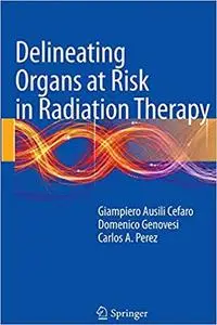 Delineating Organs at Risk in Radiation Therapy