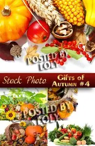 Gifts of Autumn #4 - Stock Photo