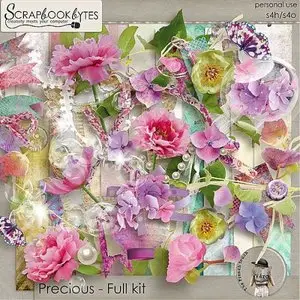 Scrap kit Precious