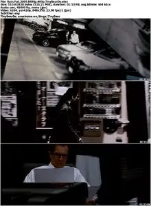 Rain Fall (2009)