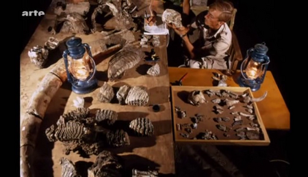 (Arte) Aux origines de l'humanité (2 sur 3) La naissance de l'homme (2010)