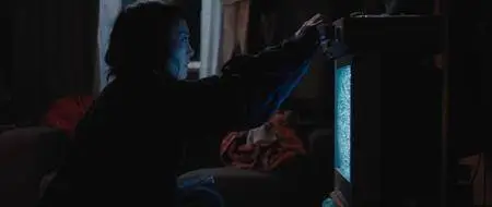 Kumiko, the Treasure Hunter (2014)