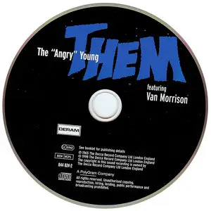 Them - The Angry Young Them (1965)