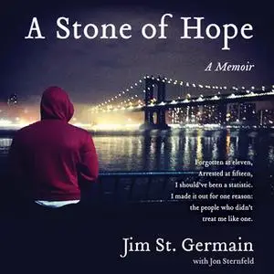 «A Stone of Hope» by Jim St. Germain,Jon Sternfeld
