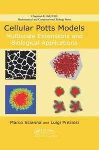 Cellular Potts Models: Multiscale Extensions and Biological Applications (repost)