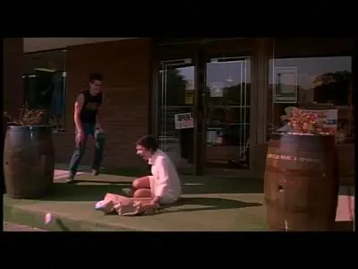 Polyester (1981) [The Criterion Collection LaserDisc #210] [ReUp]