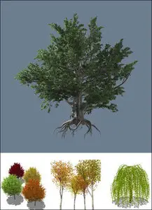 120 Formfonts Trees for Google Sketchup