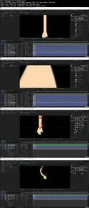 Learn Character Design, Rigging and Walk Cycle Animation