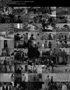 Os Verdes Anos / The Green Years (1963)