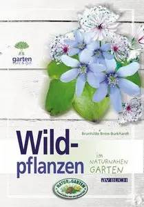Wildpflanzen im naturnahen Garten