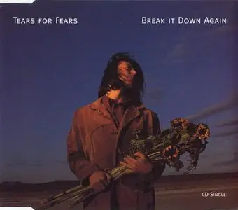 Tears For Fears - Break It Down Again (UK CD5) (1993) {Mercury}