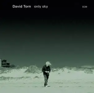 David Torn - Only Sky (2015)