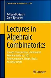 Lectures in Algebraic Combinatorics: Young's Construction, Seminormal Representations, SL(2) Representations, Heaps, Bas