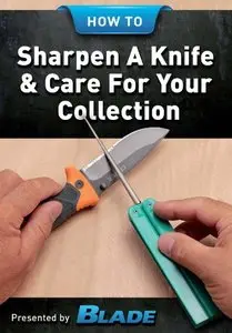 How To Sharpen A Knife & Care For Your Collection