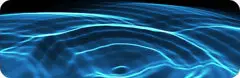 TRAPCODE FORM