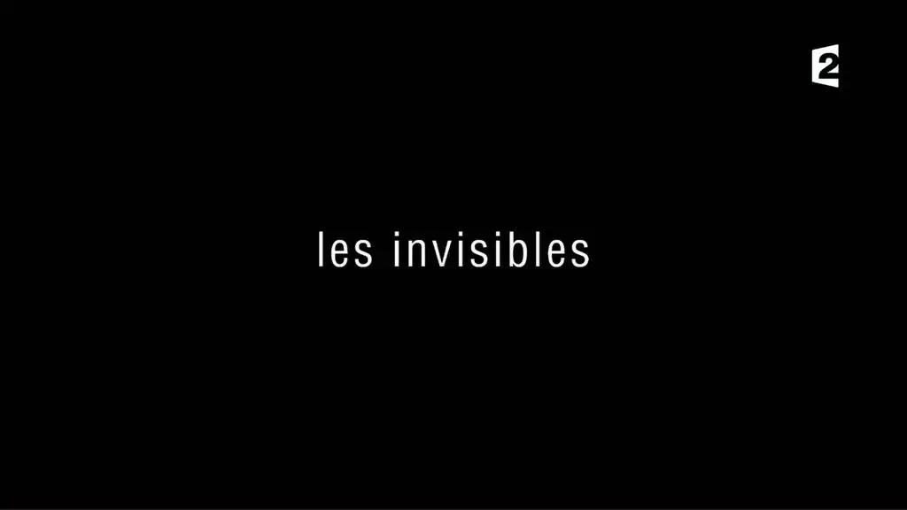 (Fr2) Les invisibles (2017)