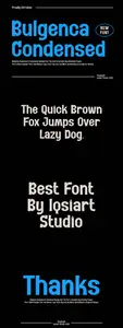 Bulgenca Condensed Sans Font JMYH2UH