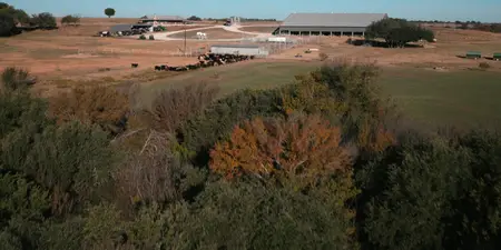 Dutton Ranch S01E06
