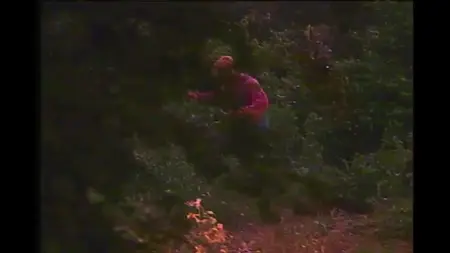 The Lawnmower Man (1992)