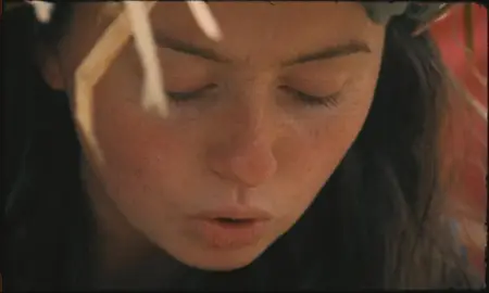 Harvest (2024)