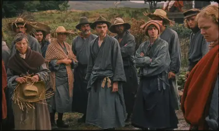 Harvest (2024)