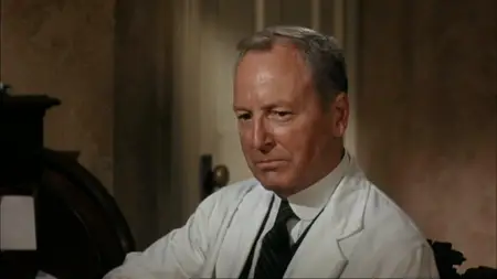 Splendor in the Grass (1961) [Open Matte]