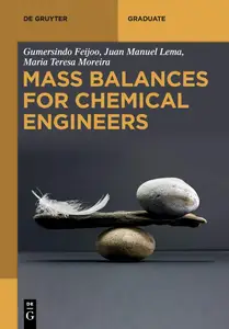 Mass Balances for Chemical Engineers (De Gruyter Textbook)