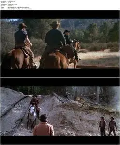 Pale Rider (1985)