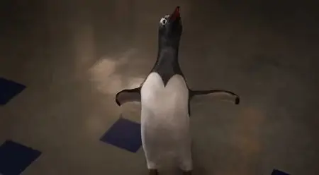Mr. Popper's Penguins / M. Popper et ses pingouins (2011)