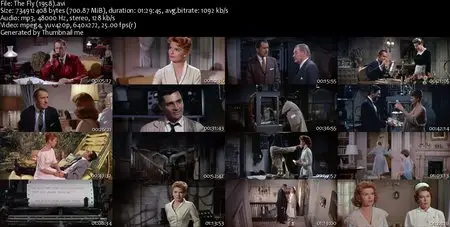 The Fly (1958) [Repost]