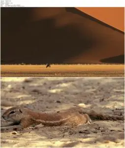 Deserts (2021)