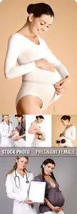 Stock Photo - Pregnant Female