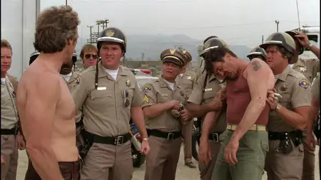 Any Which Way You Can (1980)