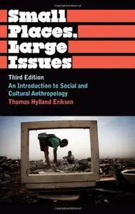 Small Places, Large Issues: An Introduction to Social and Cultural Anthropology, Third Edition