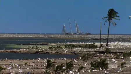Gedeon Programmes - The Mysteries of Clipperton (2005)