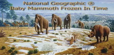 National Geographic - Baby Mammoth Frozen In Time (2009)
